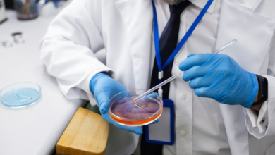 Latest Advances in Cancer Detection: From Liquid Biopsies to AI Diagnosis