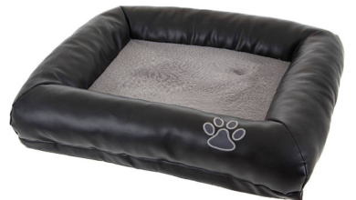 Why Dogs Love Curling Up in a Nest Dog Bed