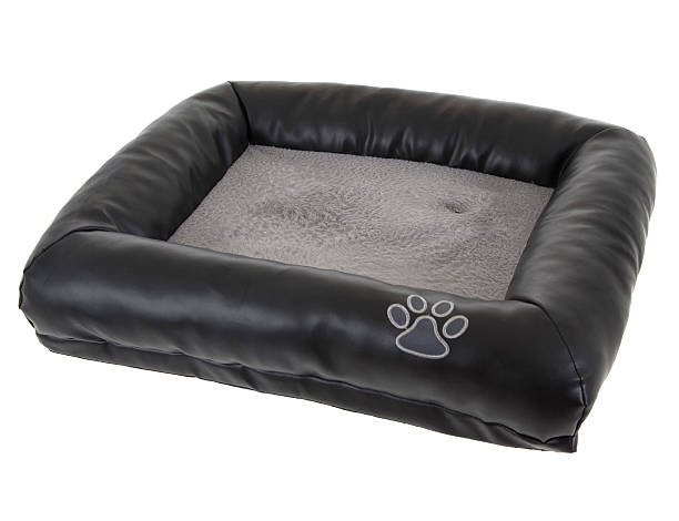 Why Dogs Love Curling Up in a Nest Dog Bed