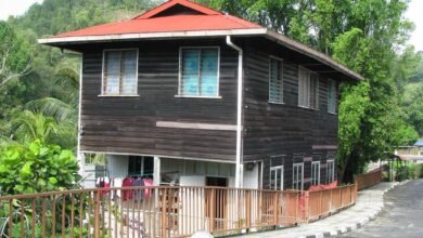 Building Trust Through Materials: How Timber Shapes Reliable Brands in Modern Construction