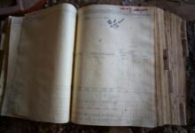 cyber system activity ledger ids