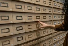 database review tracking collection identifiers