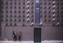 network safety observation ids list