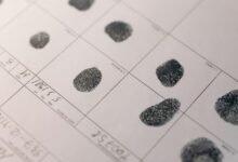 structured profile examination records identifiers listing