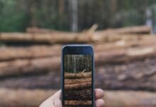 telecom numbers from security log
