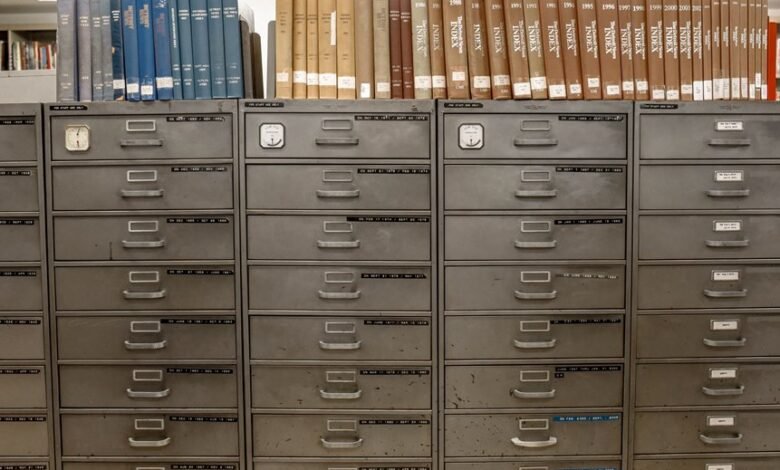 archived numbers reveal diverse identifiers