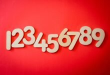 list of phone numbers collected