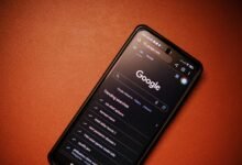 phone numbers verified for identity results