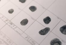 public records numbers investigation details
