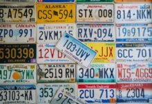 trace numbers registration details list